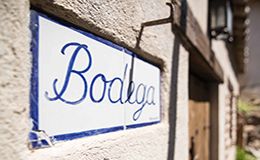 Futuro proyecto de bodegas y visitas vinícolas