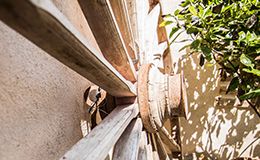 Conservación y restauración de antigüedades        